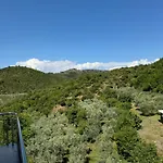 Qyteza & * Szkodra
