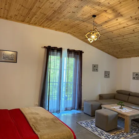 Qyteza & Shkodër