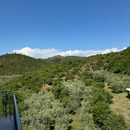 Qyteza & * Shkodër