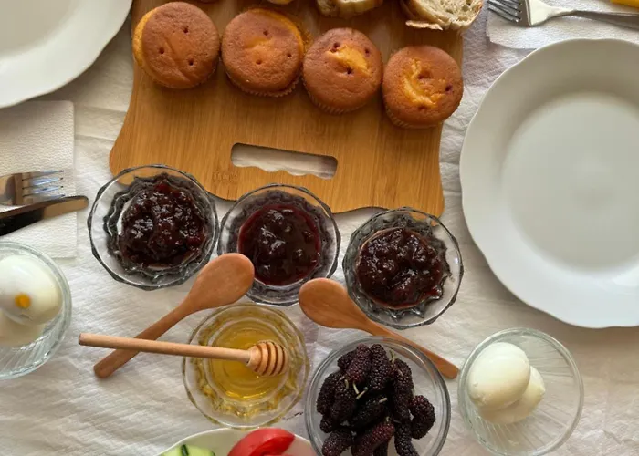 Qyteza & Appartamento Shkodër