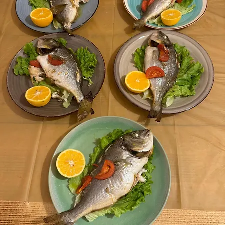 Qyteza & Apartment *