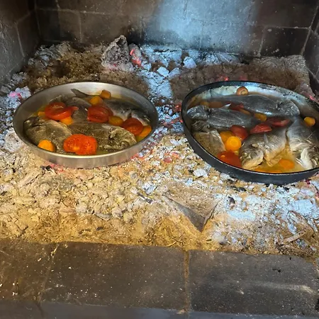 Qyteza & شقة