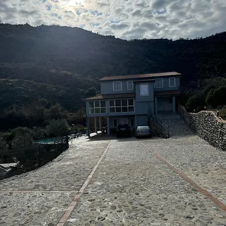 Qyteza & Shkoder